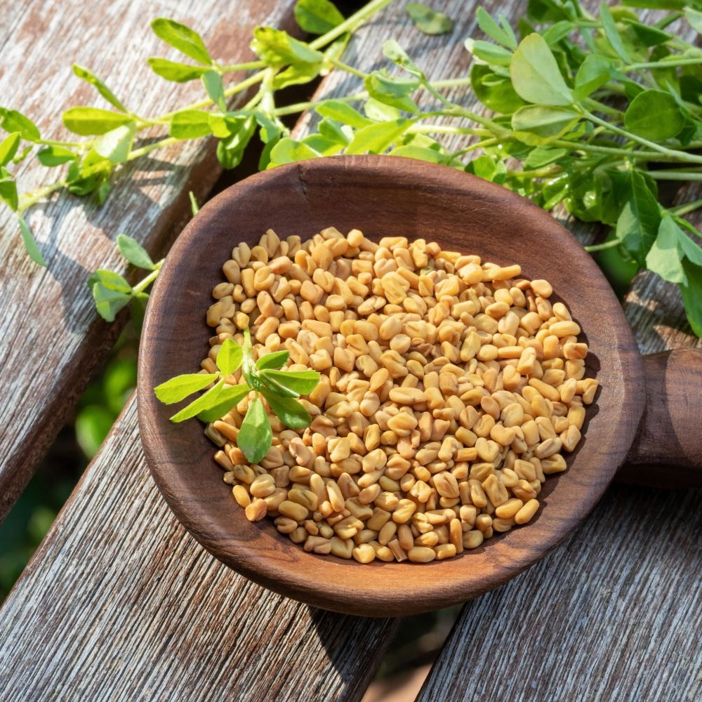 Abish Fenugreek