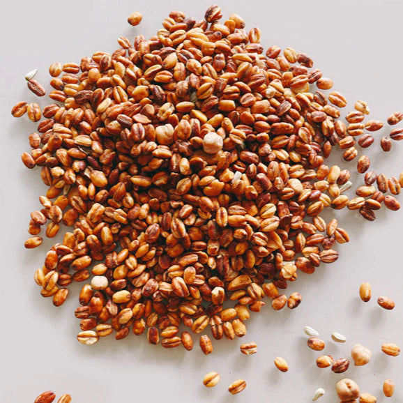 Kollo Roasted Barley