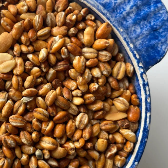 Kollo Roasted Barley
