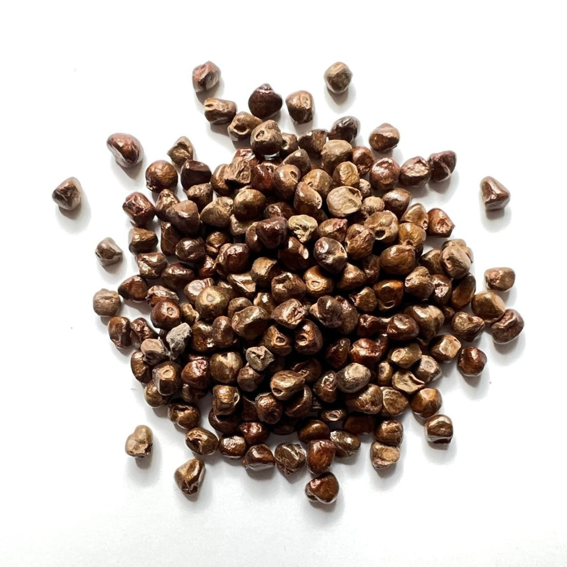Korerima Black Cardamom